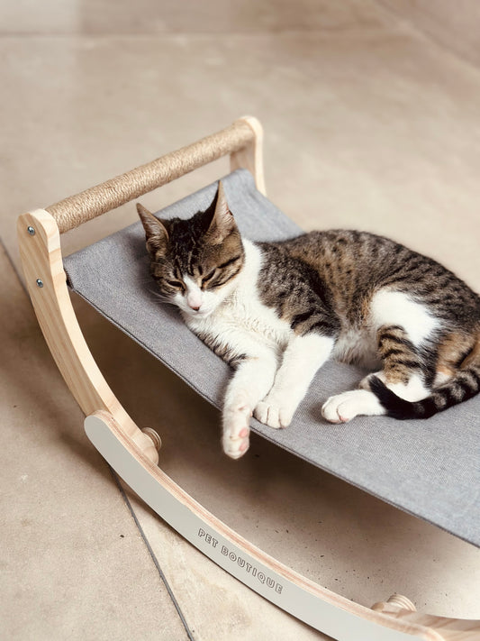 Swing into Comfort: Why Your Cat Needs This Purr-fect Rocking Chair