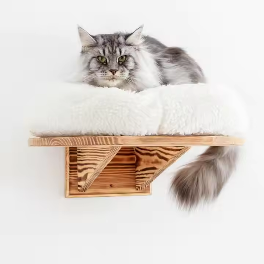 Chic Formative Design Cat Wall Shelves